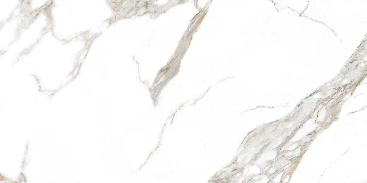 F2A A0ZS 000C Carrera White Matt Rect 60x120 Goldis Tile
