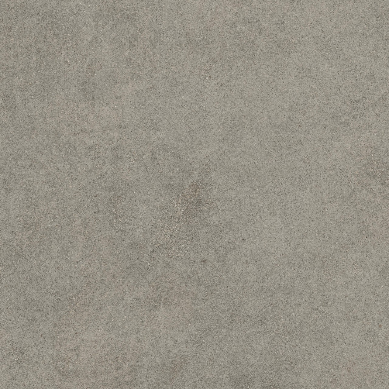 600010002429 Forte dei Marmi Rock Lunar Grey Matt Rett 120x120 Atlas Concorde Russia