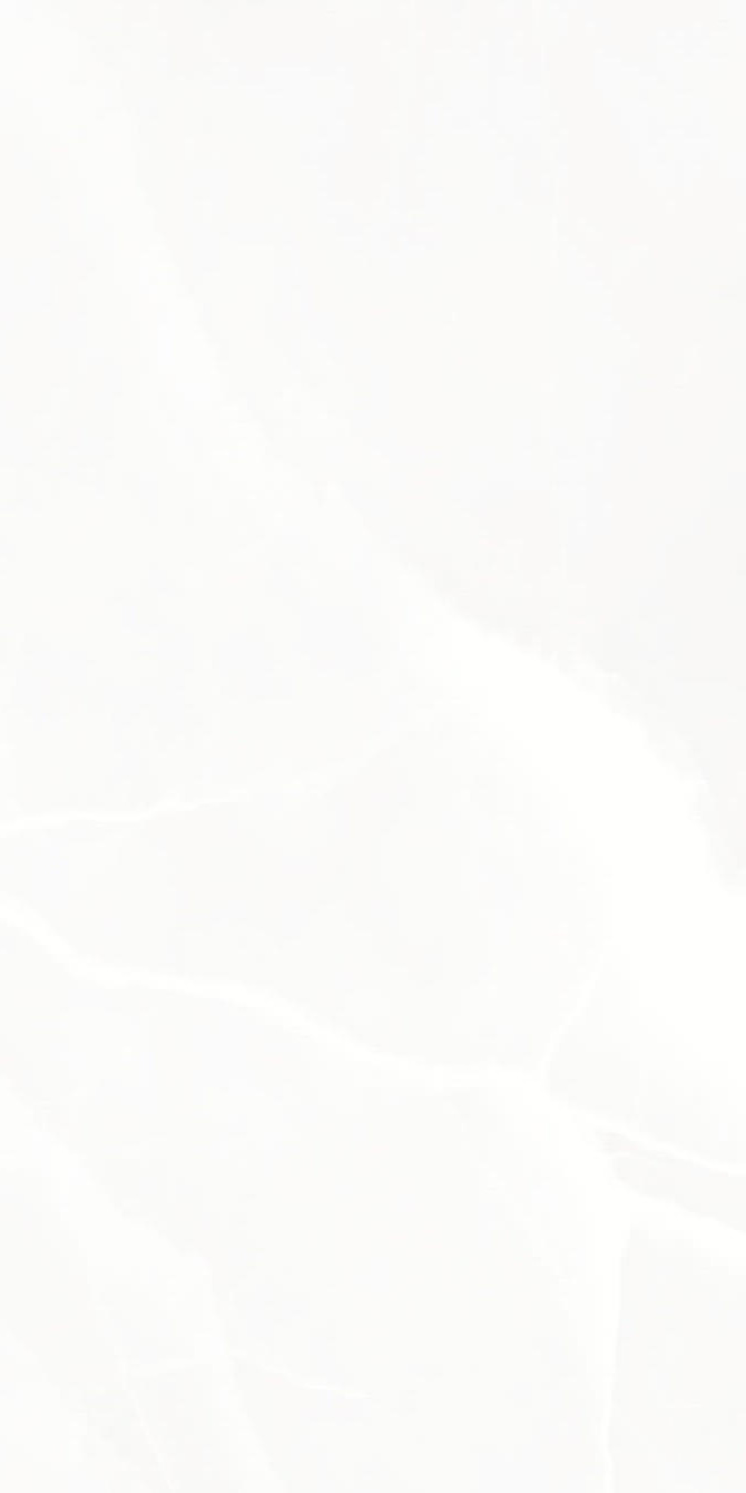 2207 Onix White Poli 9 mm 120x60 Artcer