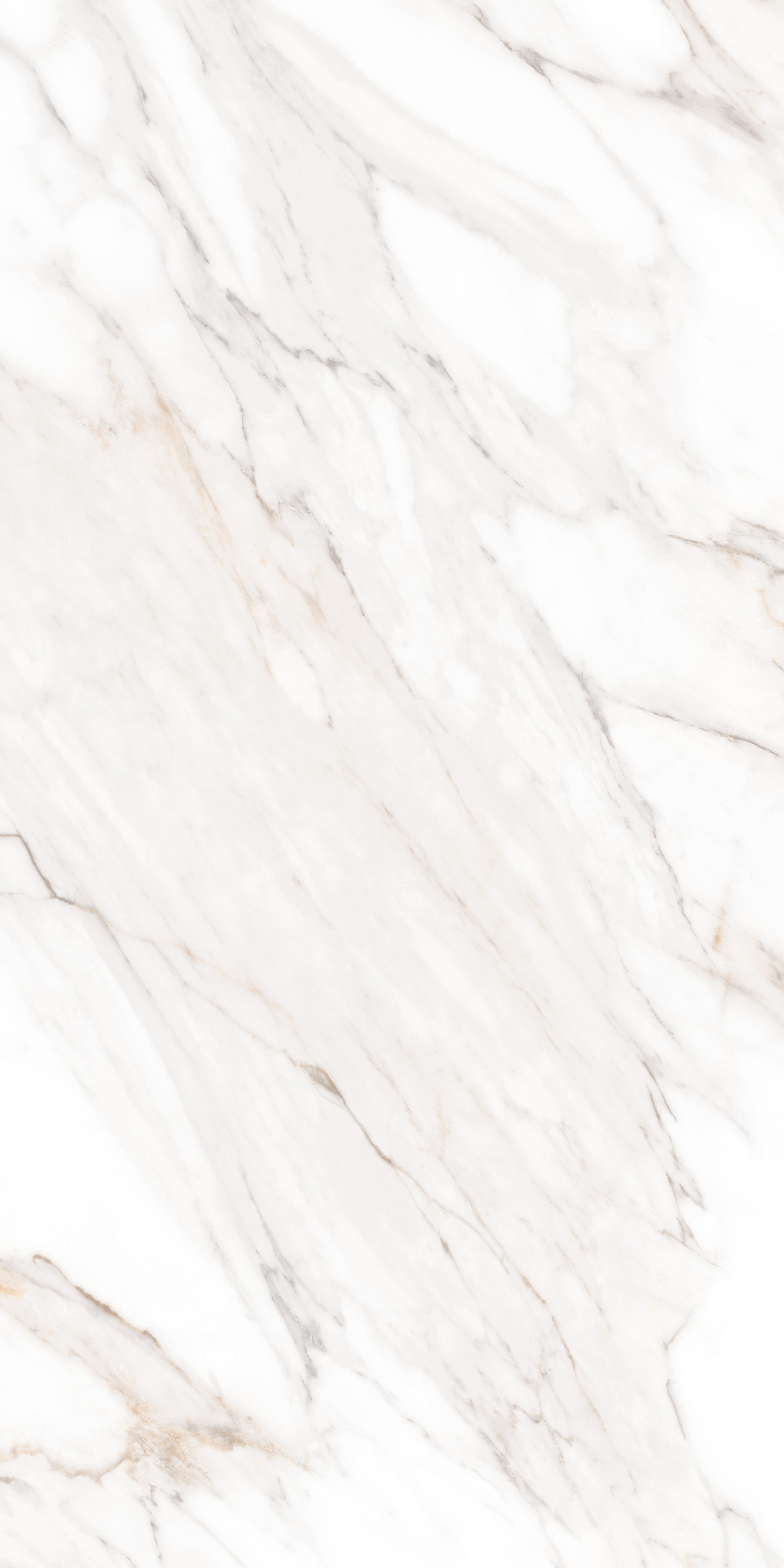 MPL-058631 Calacatta Gold Polished 60x120 Creto