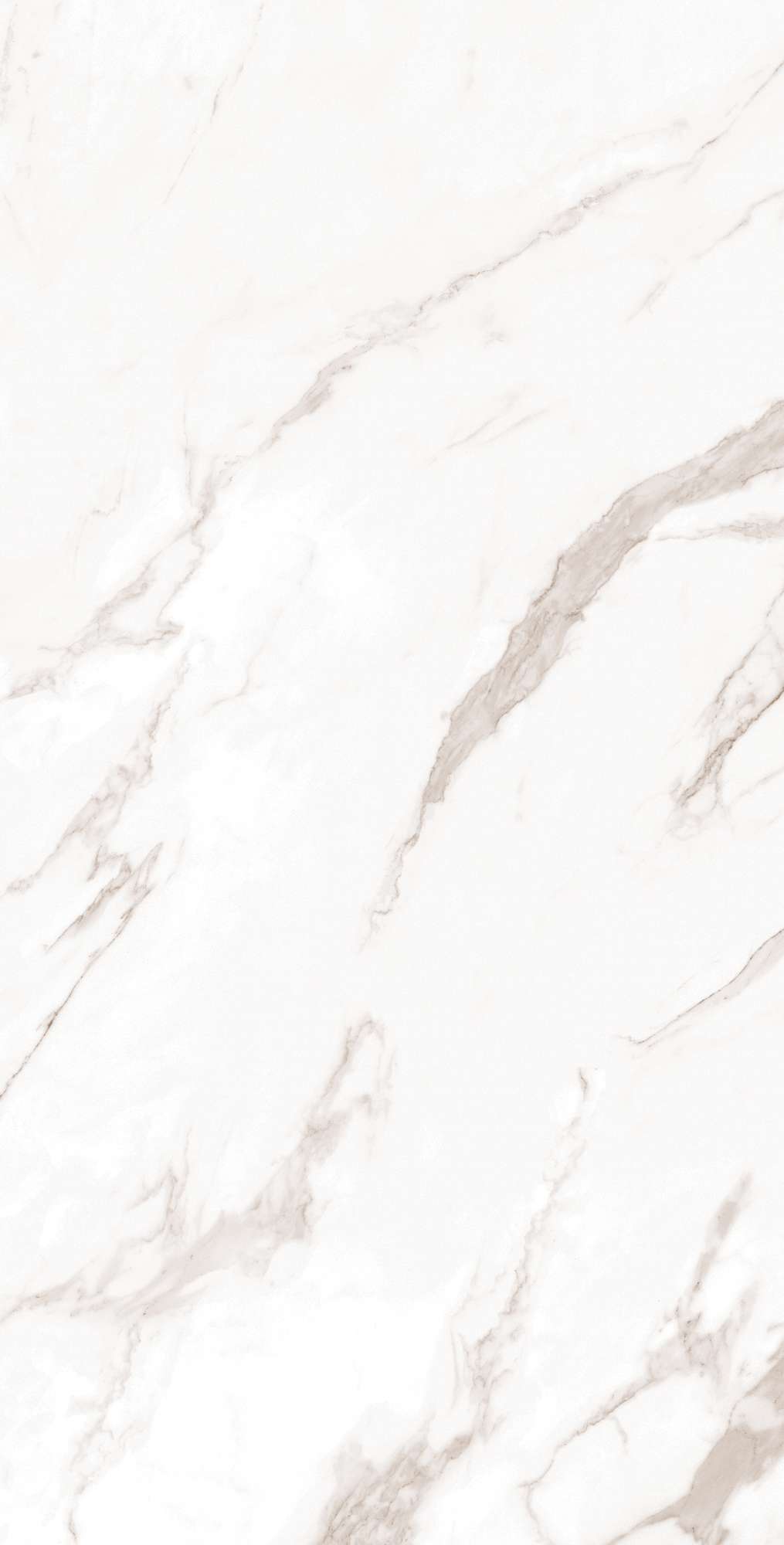 FP1019-A Calacatta Bianco Full Polished 60x120 Arcadia Ceramica