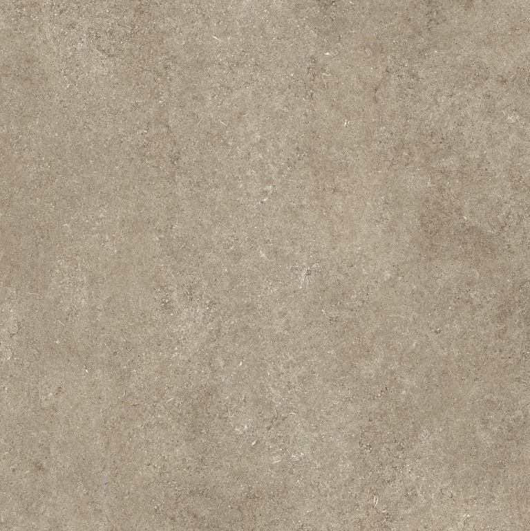 768558 Sensi Taupe Fossil Nat Ret 6mm 120x120 Casa Dolce Casa