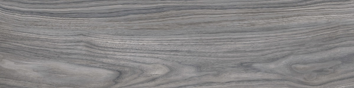 WD12 Forest Grey 20x80 PrimaVera
