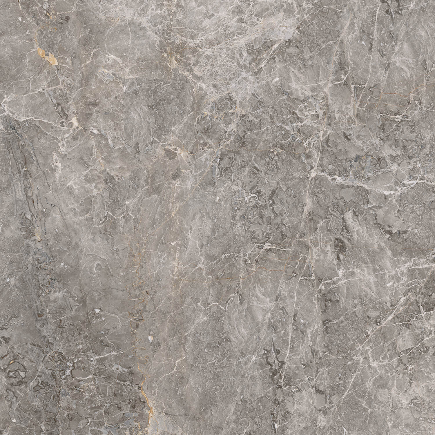 100305811 Elegant Grey Pulido 120x120 Porcelanosa