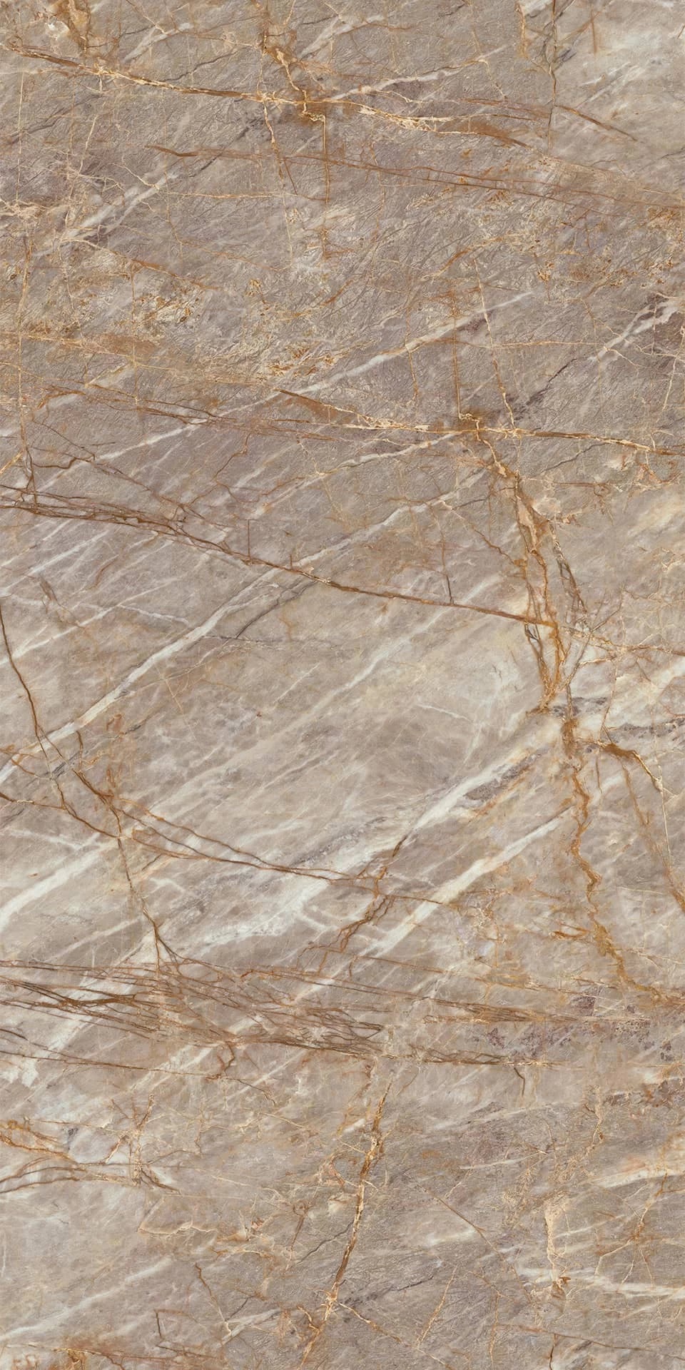 HEAZ Natural Roots Polished Endless 6mm 160x320 Atlas Concorde фото 2