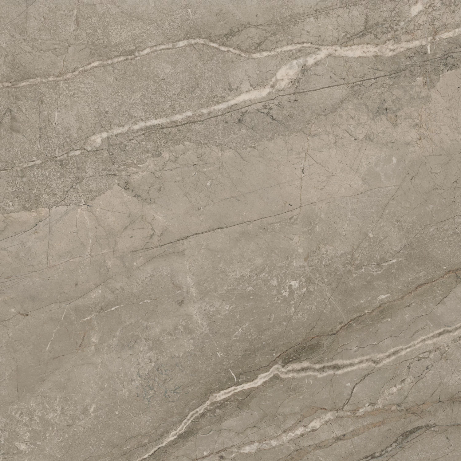 610010002719 Forte dei Marmi Mystic Grey Rett 80x80 Atlas Concorde Russia