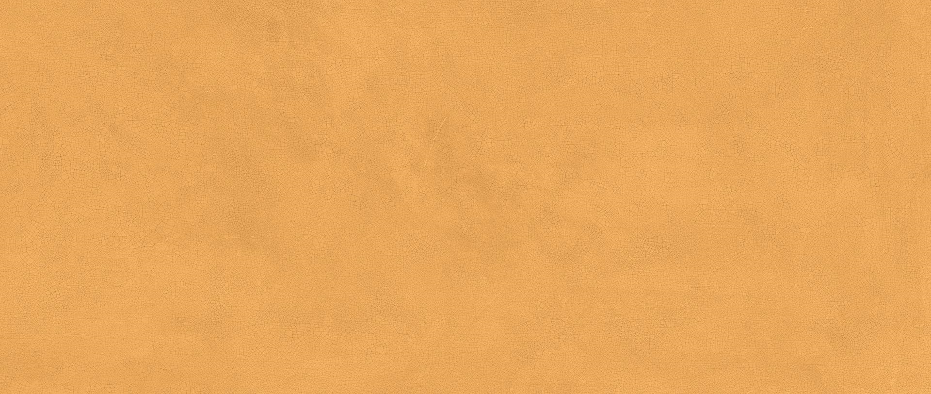 HHI5 Vivia Crelis Ochre Lucido 50x120 Atlas Concorde