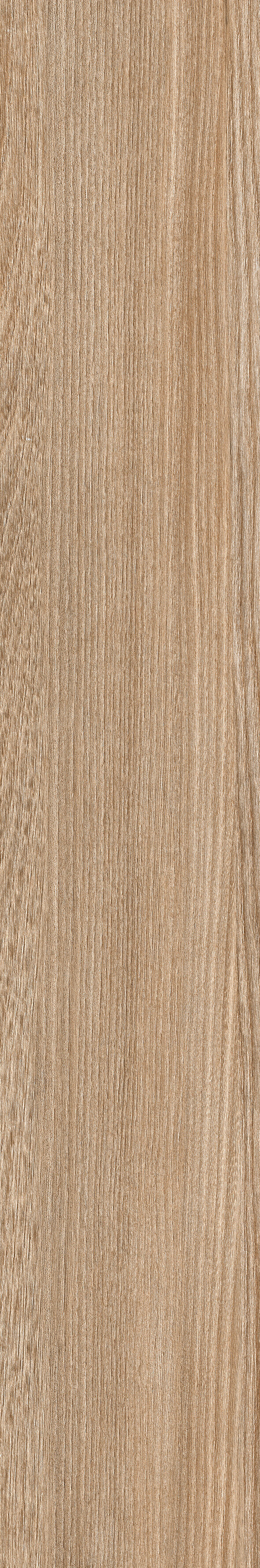 Poeme Brandy 120x20 Keraben фото 20