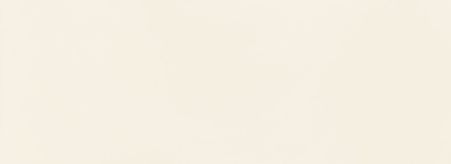 W-House of Tones white 32,8x89,8 Tubadzin