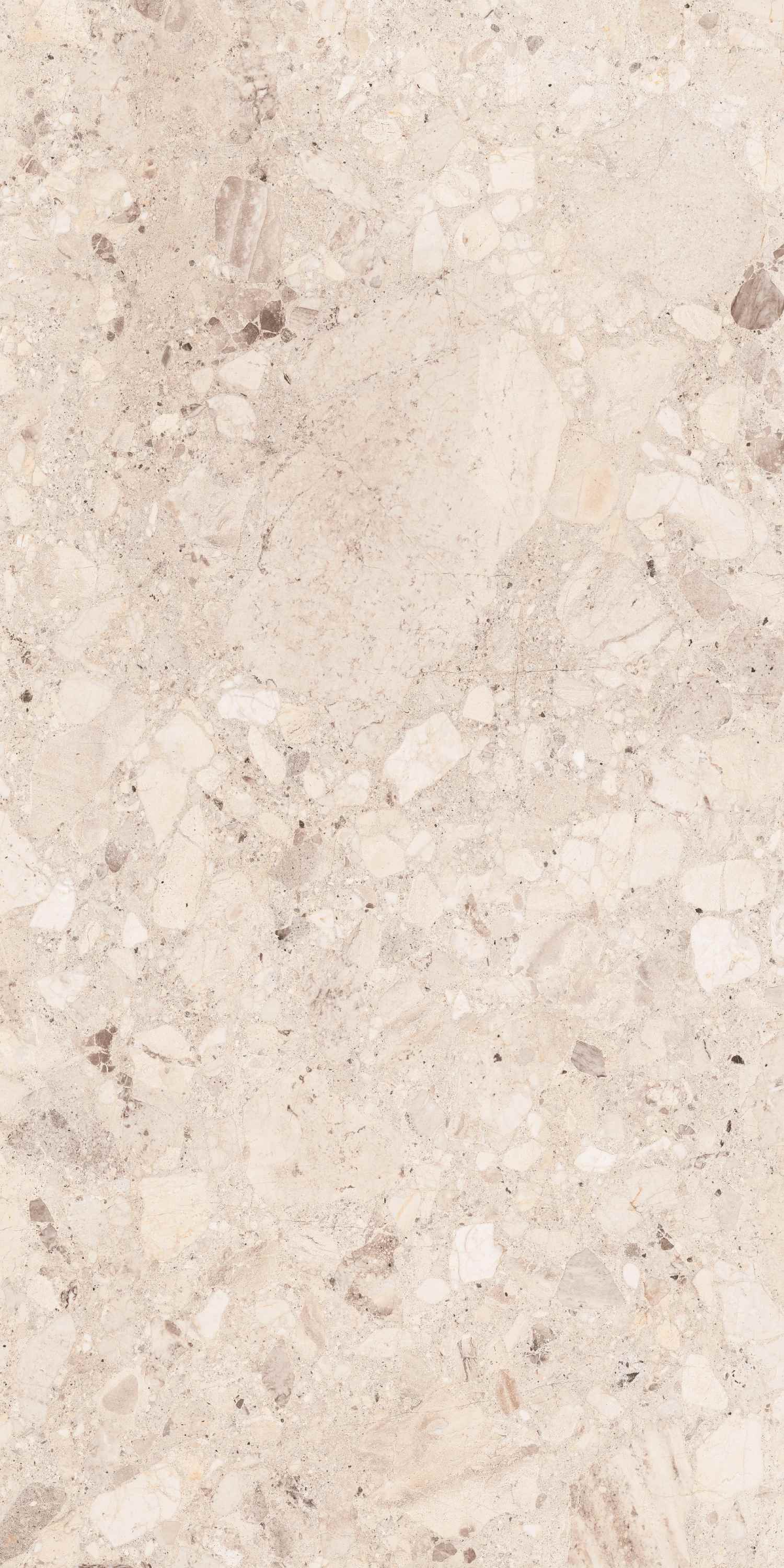 Clio Ivory Deck 60x120 BELLEZA фото 3