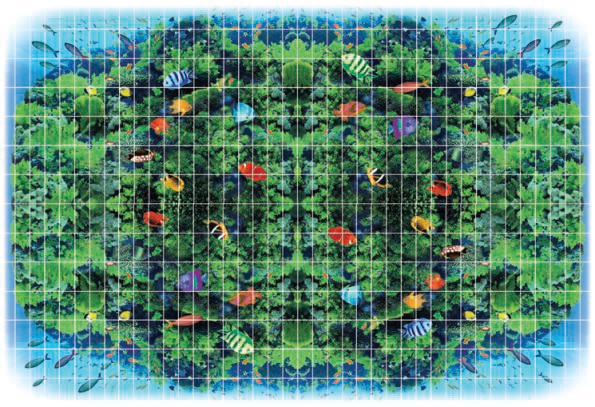 FS036 Fotosera F10 12,5х25 (500x350) Serapool