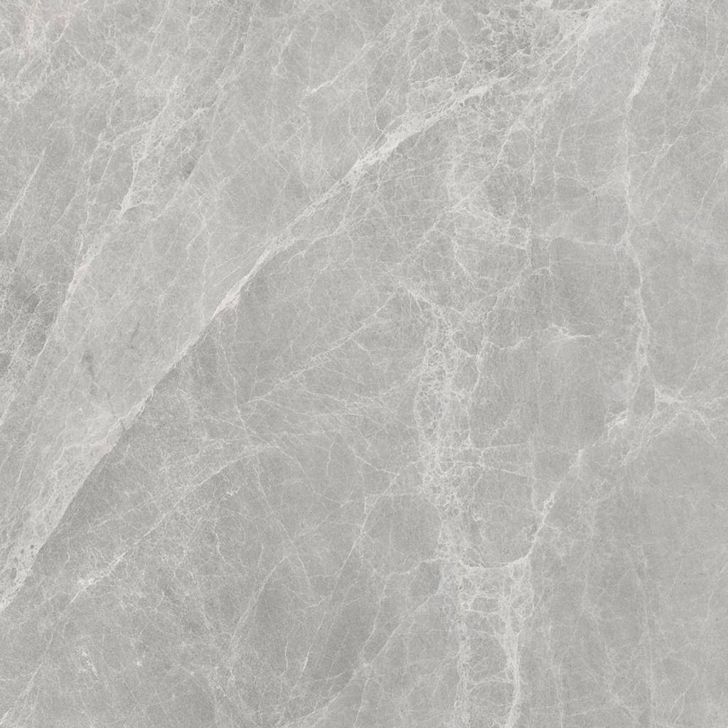 Worner GREY 60x60 Bluezone