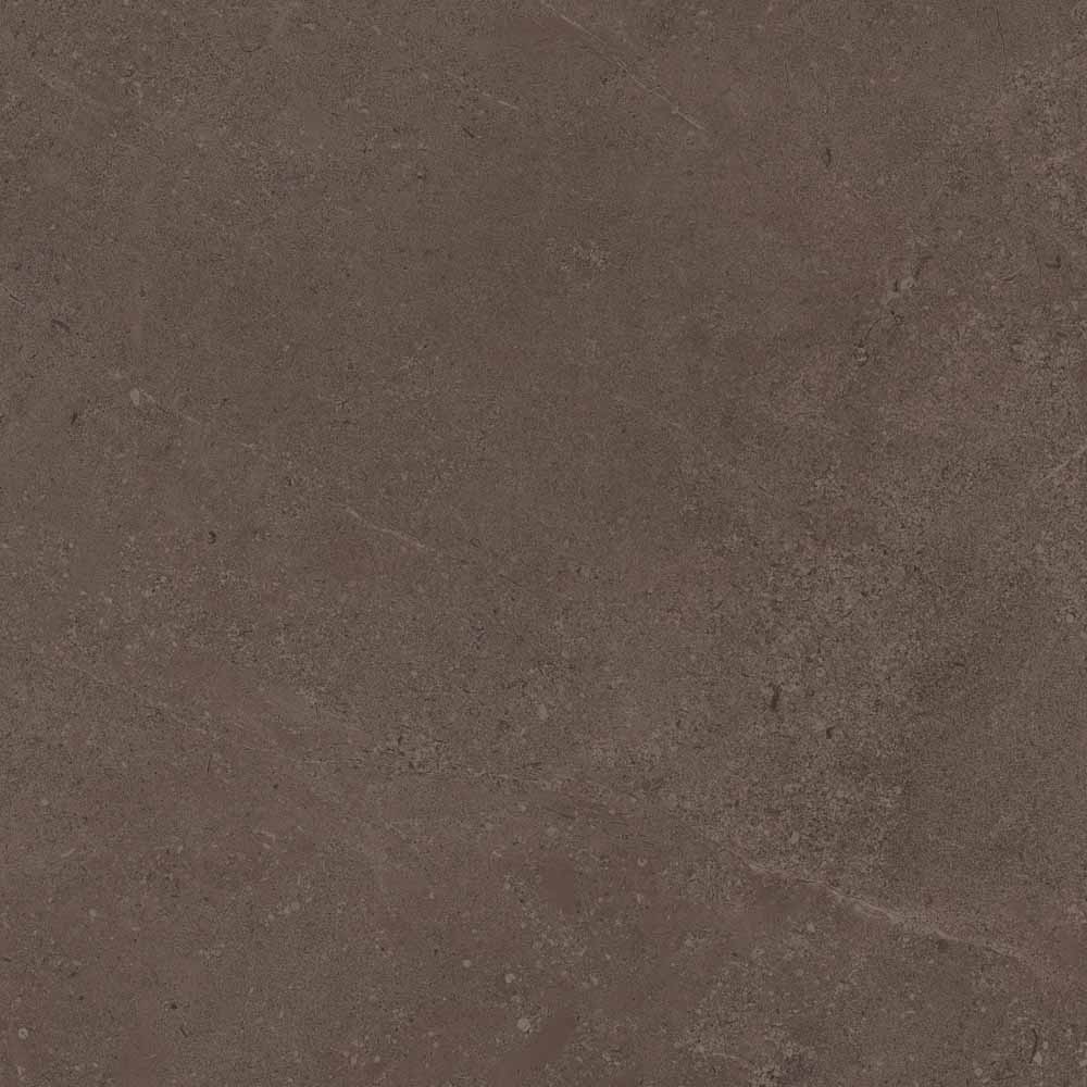 GO03 Gobi Brown Grey Неполированный Рект. 60x60x9 Estima фото 6