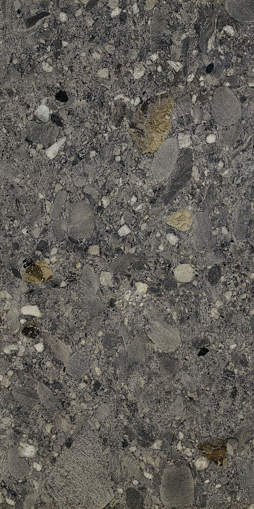 Ceppo Nero Rett 60х120 Cercom фото 2