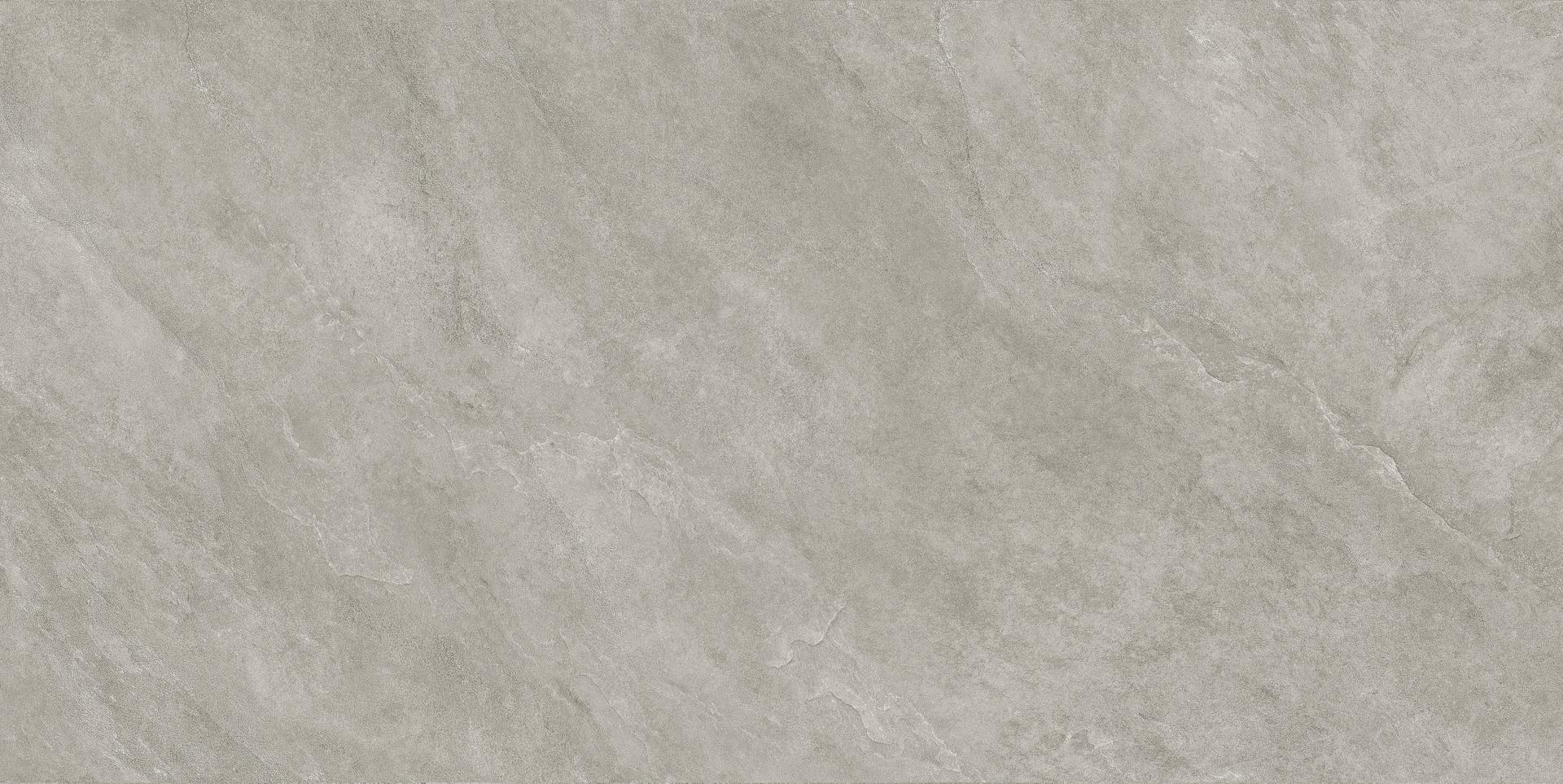 610010003556 Rinascente Slate Silver 60x120 Atlas Concorde Russia фото 4
