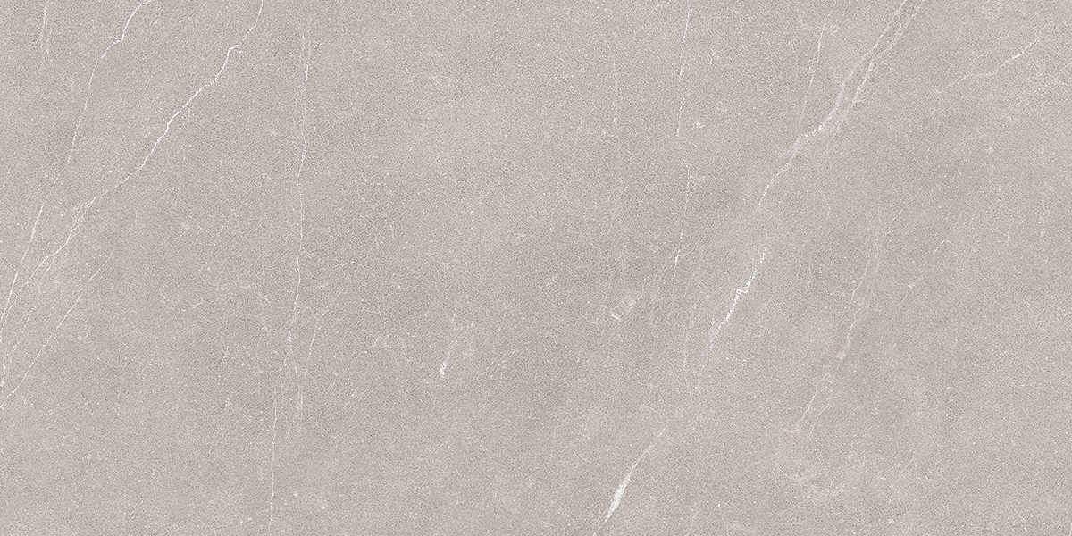 00-00002208 Ebri Gris 31,5x63 Azori