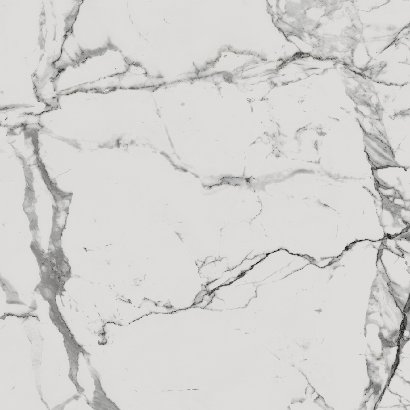 610010001678 Charme Evo Statuario Nat Ret 80x80 Italon фото 3