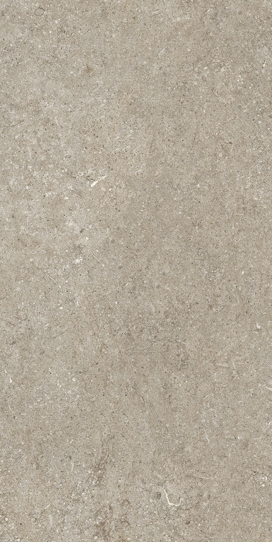 768619 Sensi Ivory Fossil Nat Ret 6mm 60x120 Casa Dolce Casa