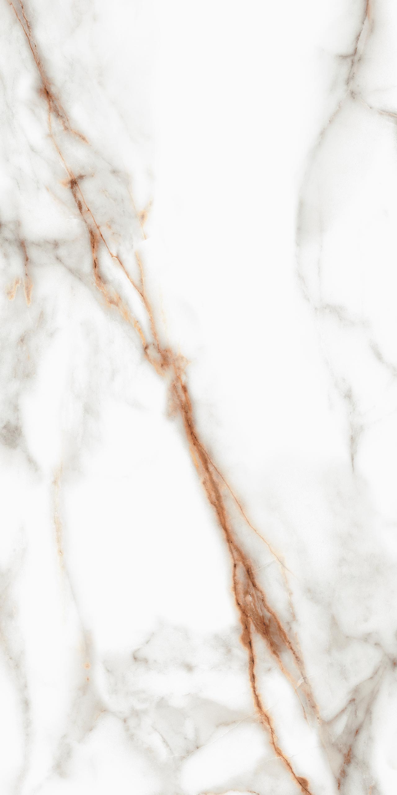 SM03 Supreme Ferrum Неполированный Рект. 60x120x9 Ametis by Estima фото 2