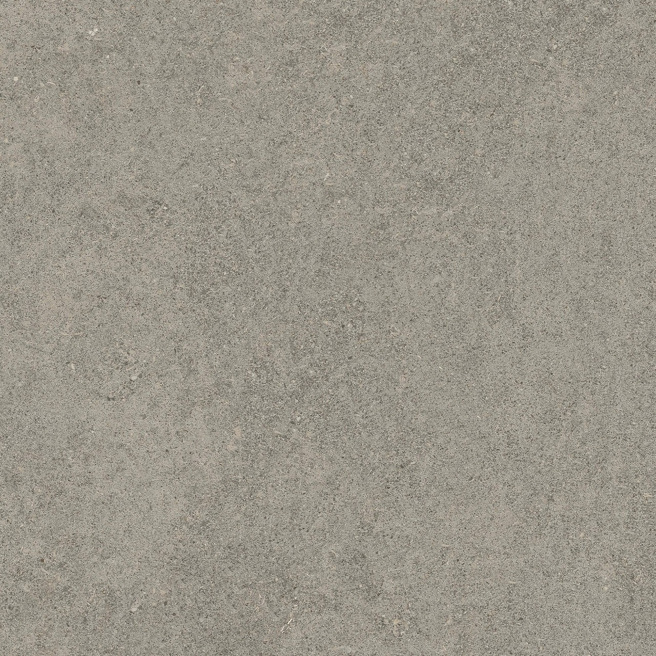 610010005836 Forte dei Marmi Rock Lunar Grey Lastra 20mm 60x60 Atlas Concorde Russia