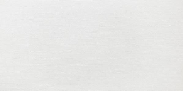 DAKSE622 FASHION white 30x60 RAKO