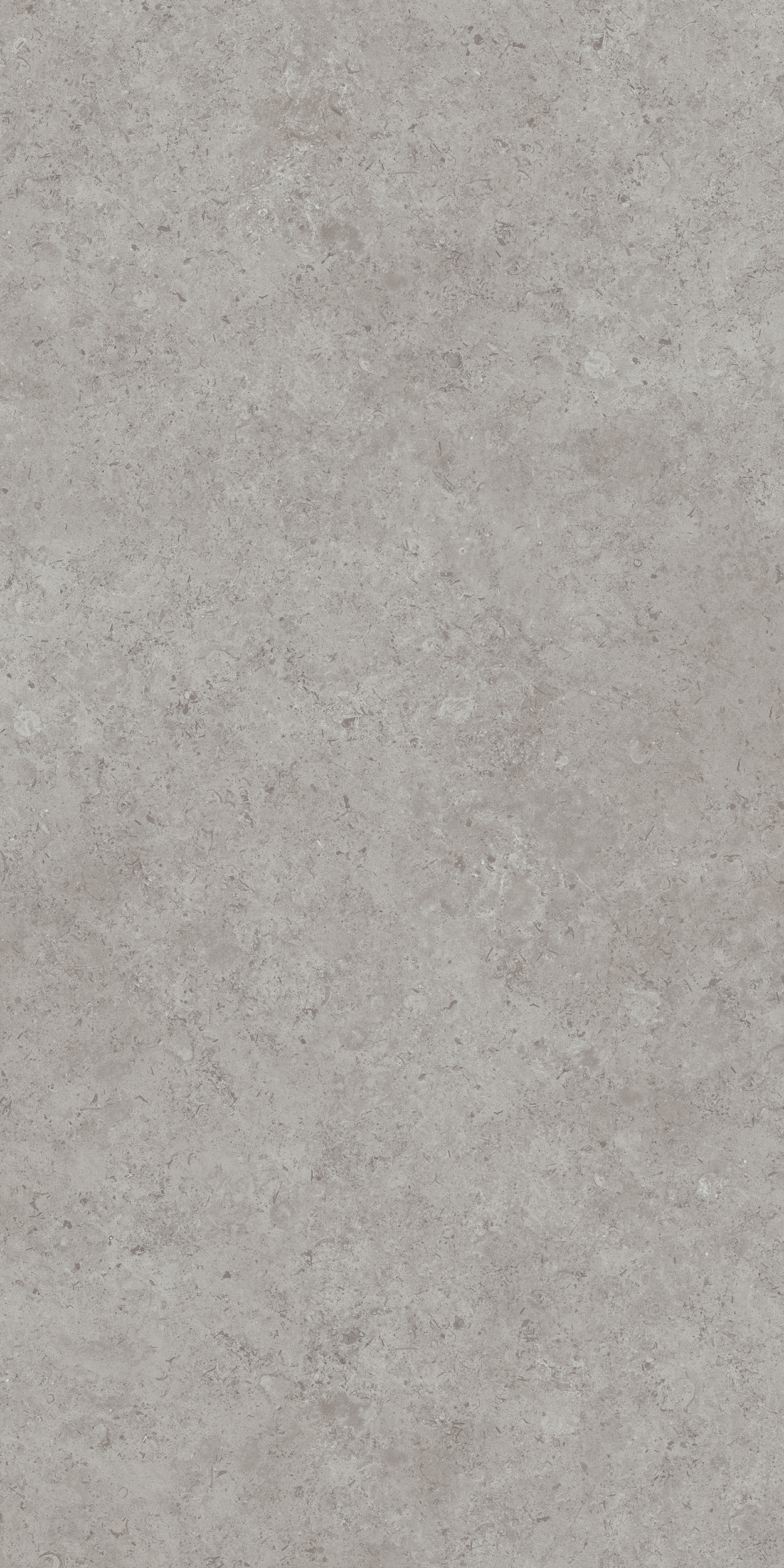 DD590600R Про Лаймстоун АТ серый натуральный обрезной R10 119,5х238,5 Kerama Marazzi