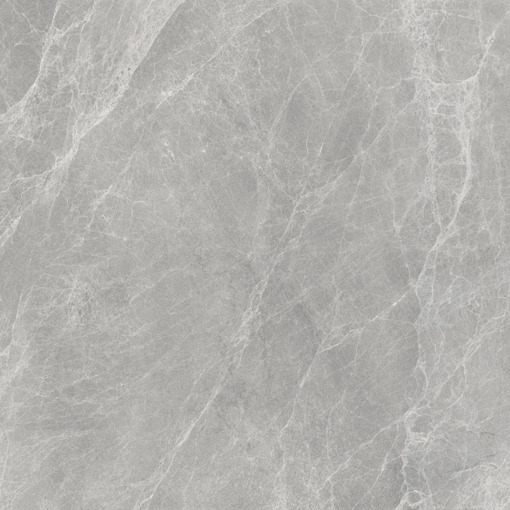 Worner GREY 60x60 Bluezone