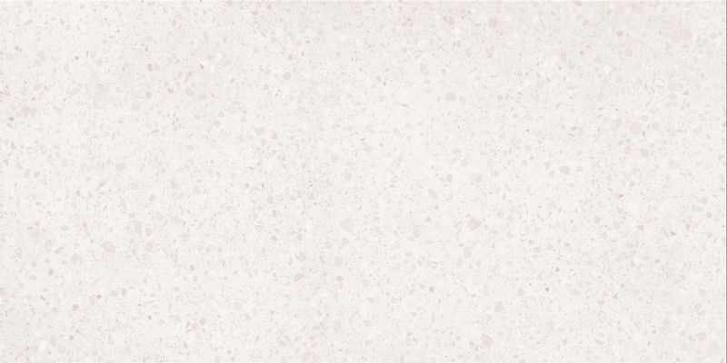 DASV1810 Porfido white R10 60x120 RAKO