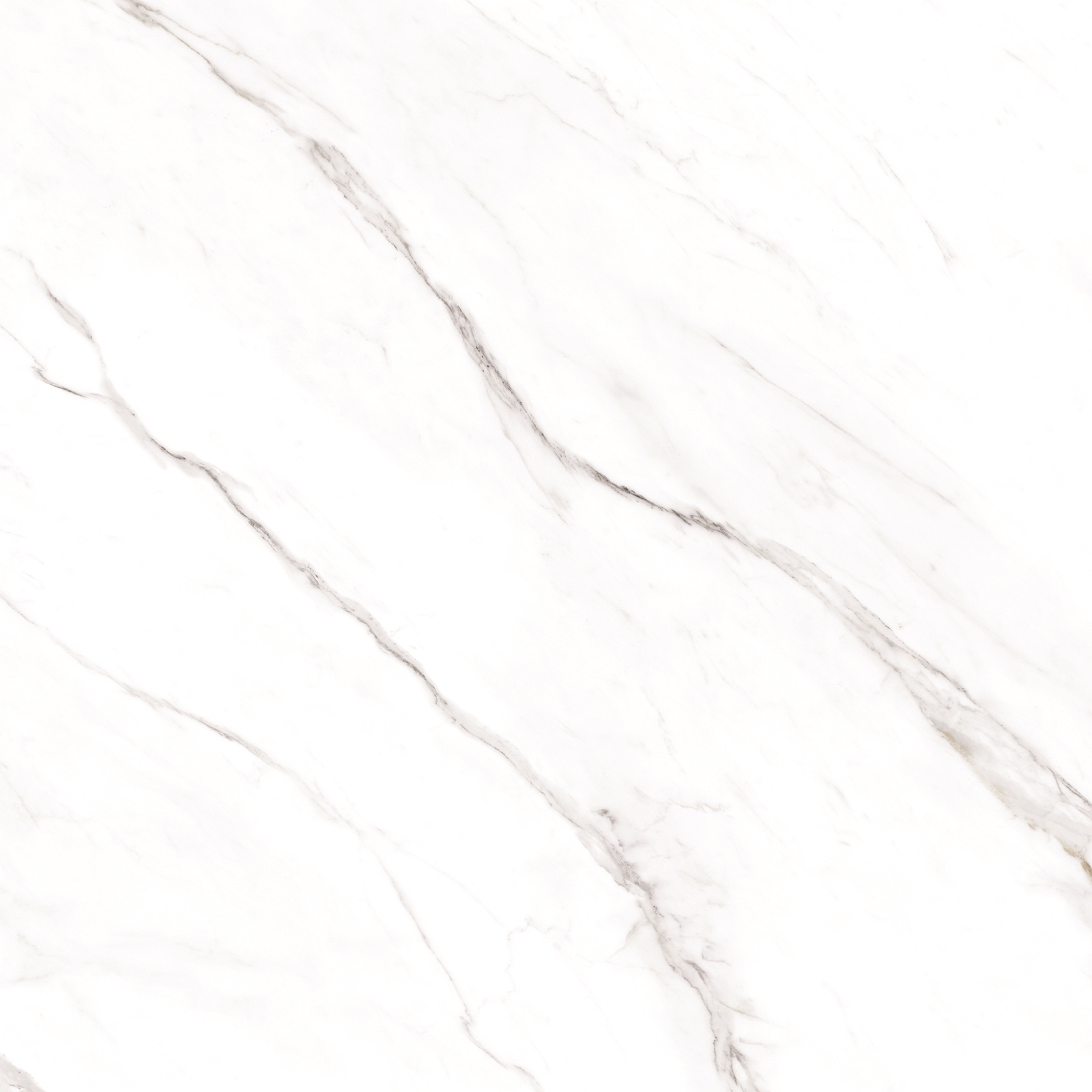 Statuario Alaska Glossy 80x80 Maimoon Ceramica