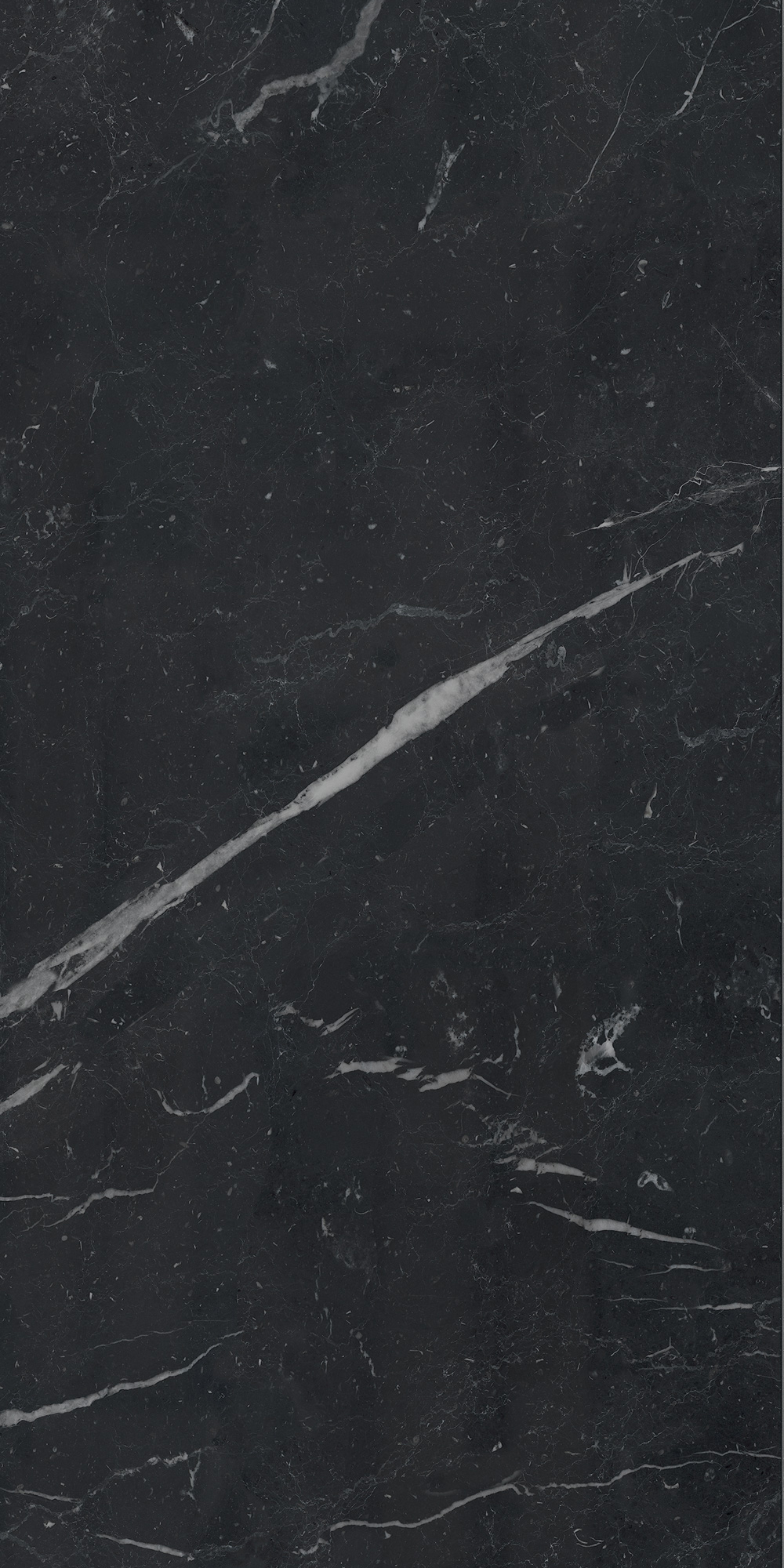 AGB7 Unique Black Luc 60x120 Caesar фото 4