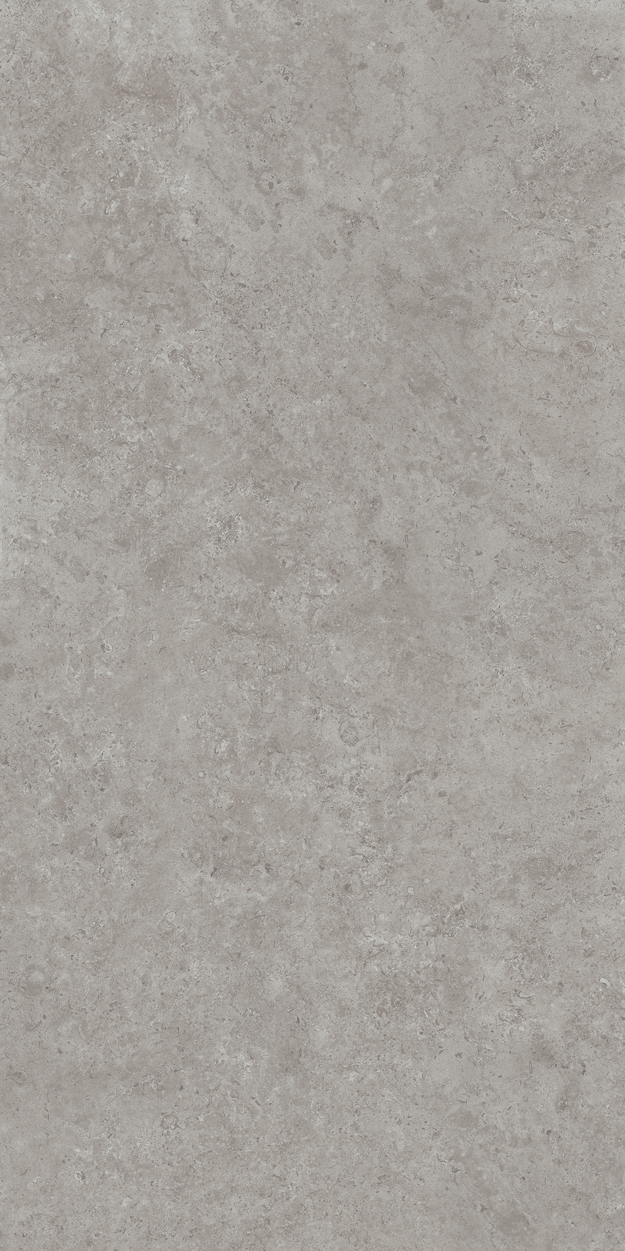 DD590600R Про Лаймстоун АТ серый натуральный обрезной R10 119,5х238,5 Kerama Marazzi