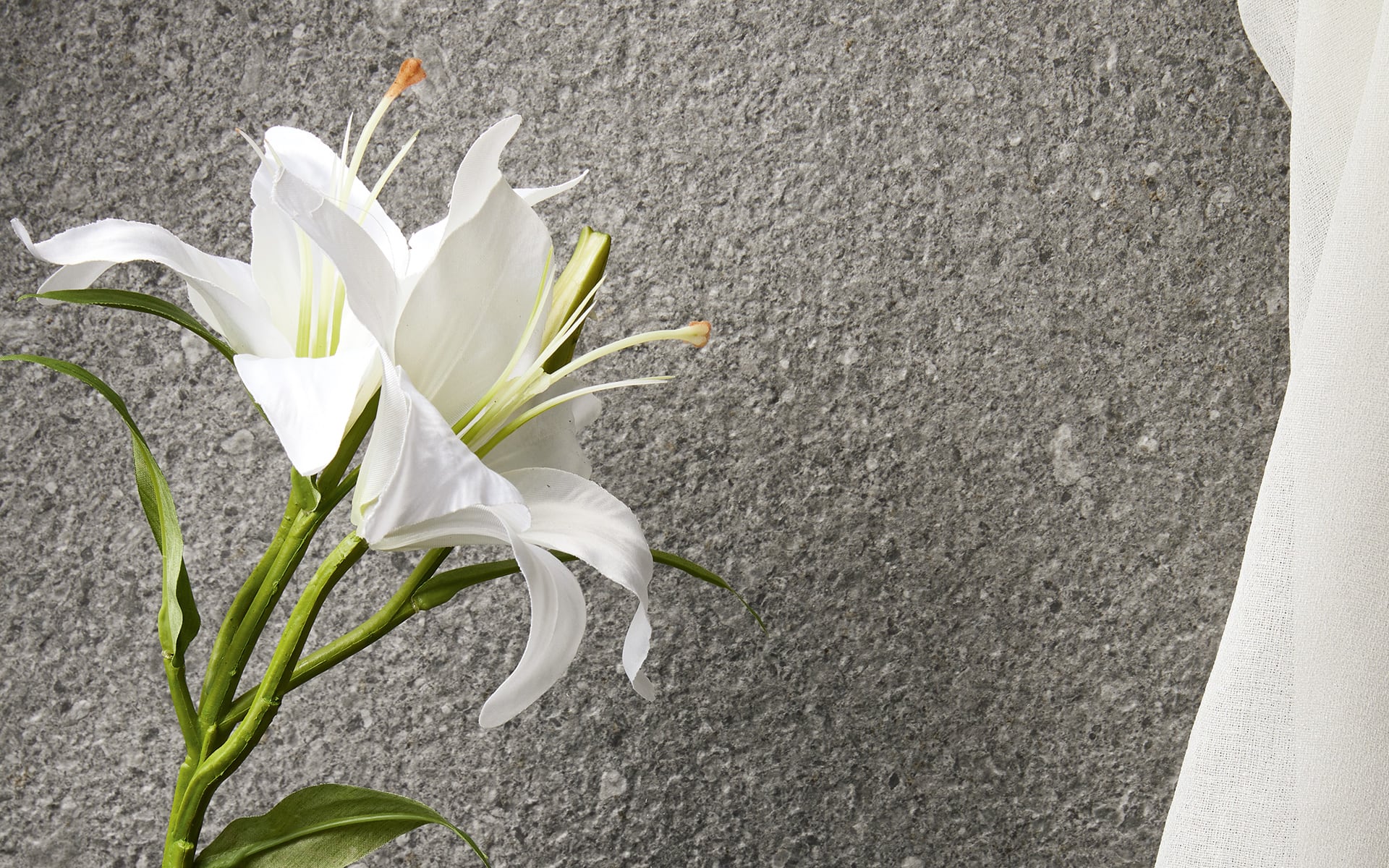 8929989 Victorian Stone Moon Cream Flamed 120x60 Iris Ceramica фото 33