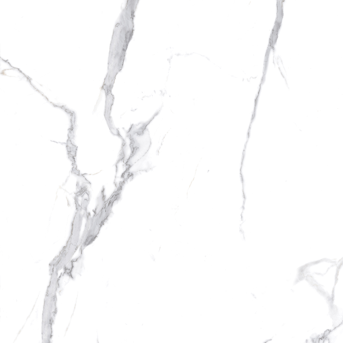 Calacatta Splendid Silver Белый Полированный 80х80 Ceradim