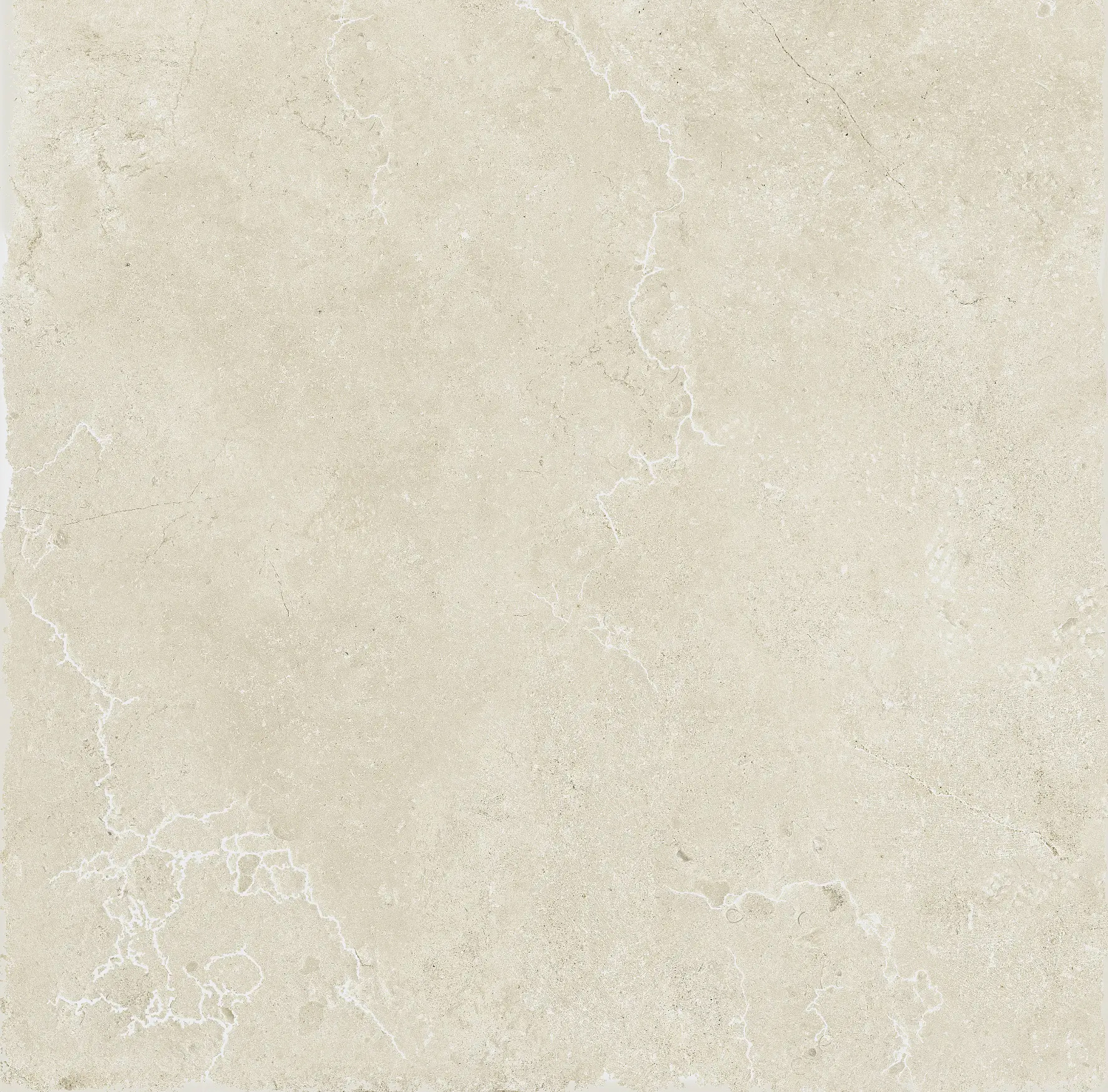 116010 Attica White 60x60 Settecento