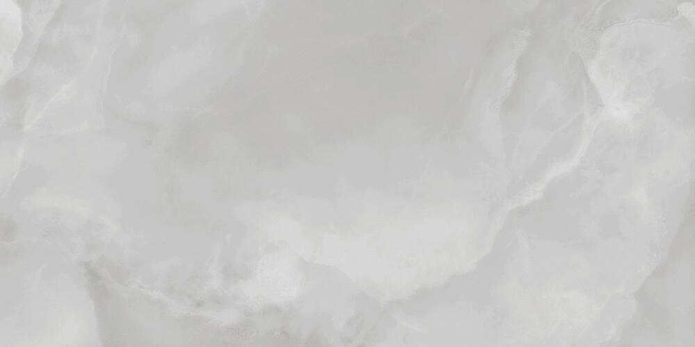 PR230 Vilema Grey Polished 60x120 PrimaVera