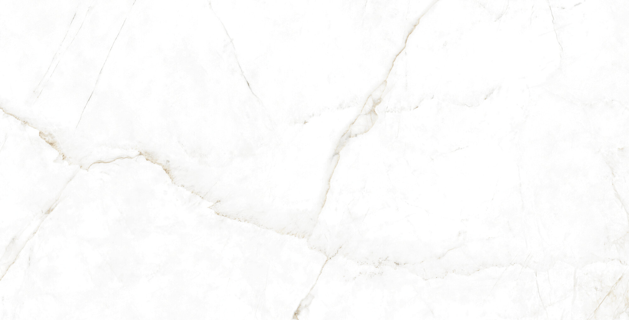 31742 Dual White/75,5X151/EP 75,5x151 Peronda фото 5