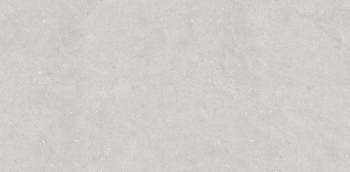 N110007 Liberty Grey Matt 60x120 Neodom фото 3