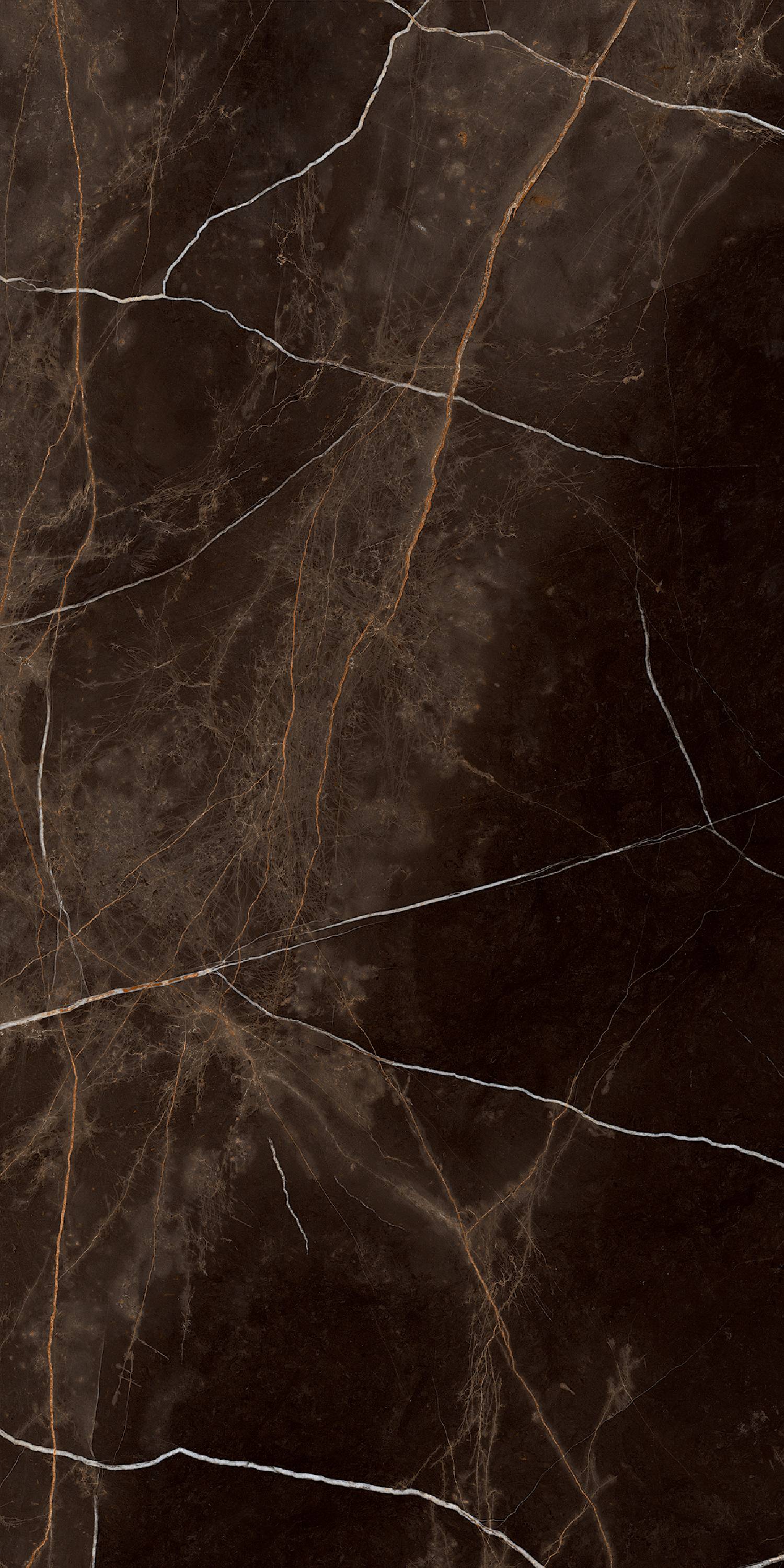 Regal Zuccini Coffee 80x160 SotGres