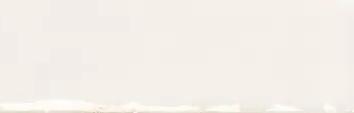 132971 Colour Notes Oat 4x12,5 WOW