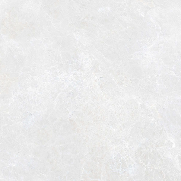 G311PR Sinara Elegant 60x60 Гранитея фото 2