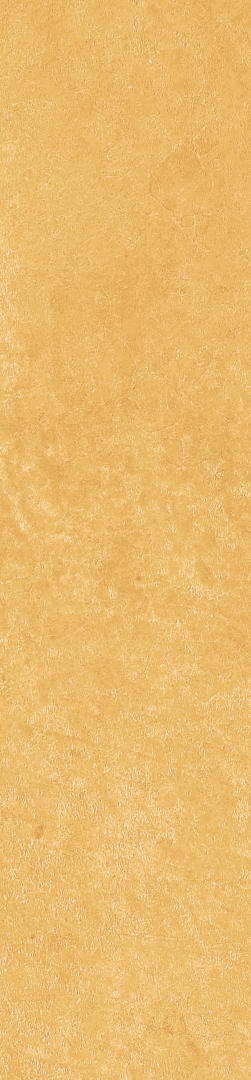 Scs Spectra Mustard 5,8х25 Simpolo Ceramics
