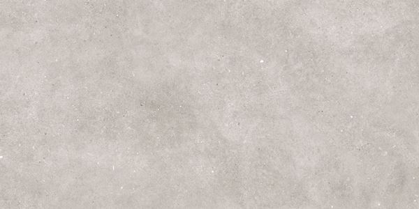 Murus Grey 60x120 Gravita