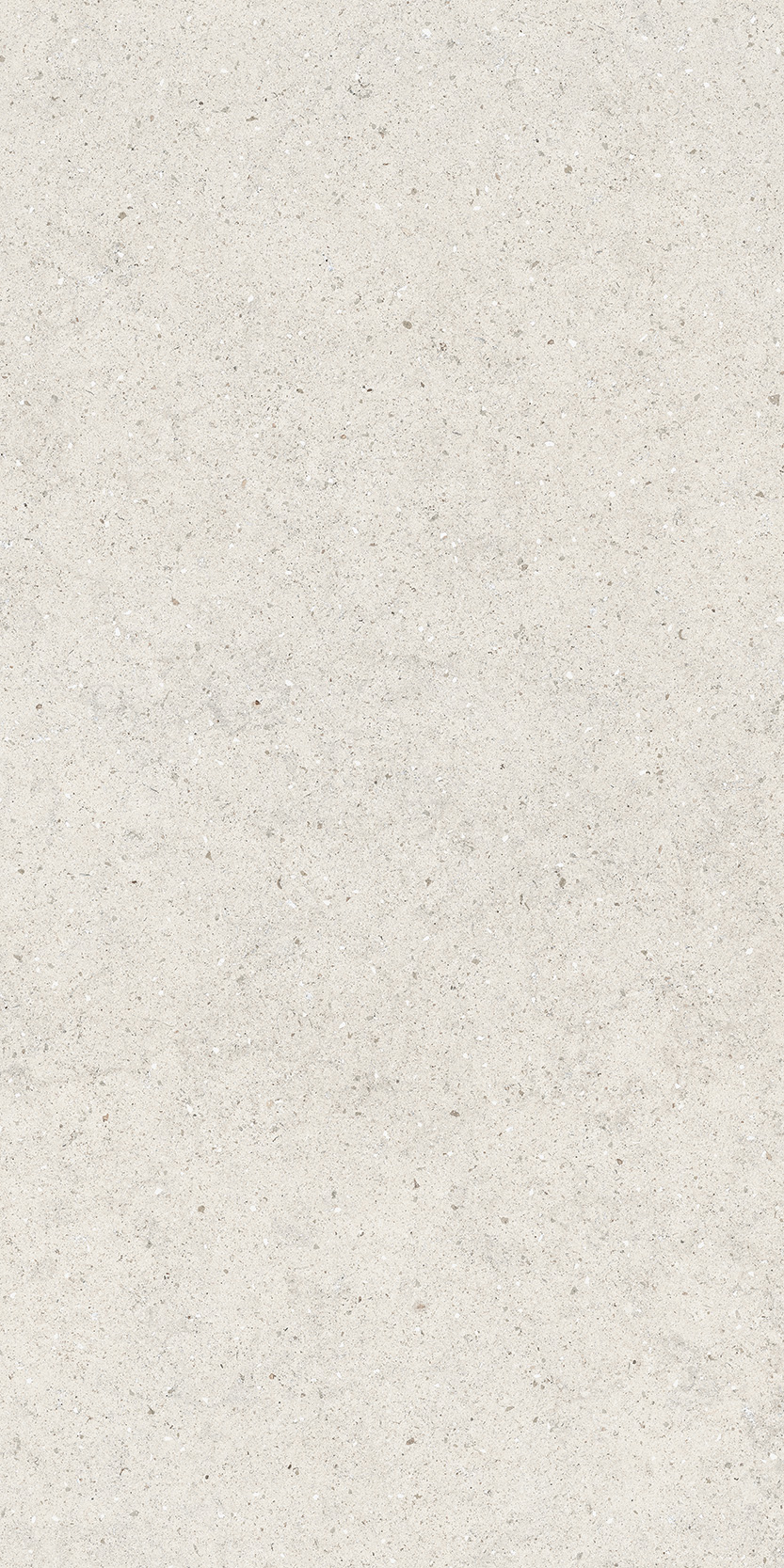 610010004166 Forum Stone Polar Ret 60x120 Italon