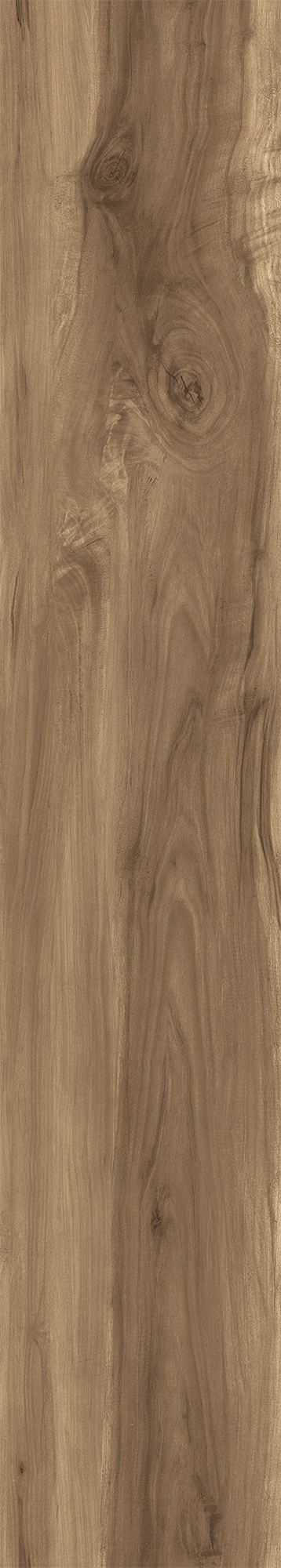 CW-RT10-B Fossil Wood Wenge Rustic 20x120 Creanza