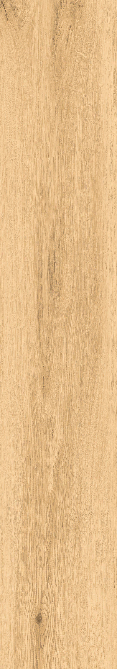 1108 Modena Honey Mate 120x20 Artcer
