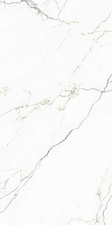 127043 Segesta Verde Luc Ret 60x120 Tagina Ceramiche