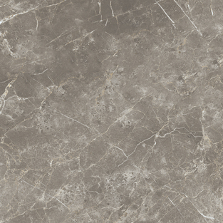 ECE3 Persian Grey Silk RT 60x60 Keope