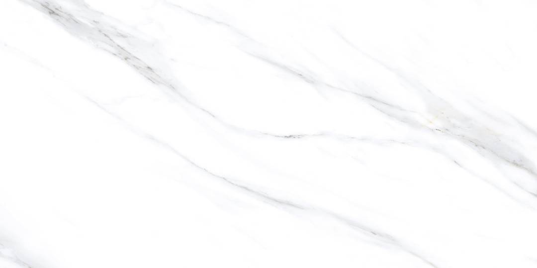 LC201 Palido Grey Lapato Carving 60x120 PrimaVera