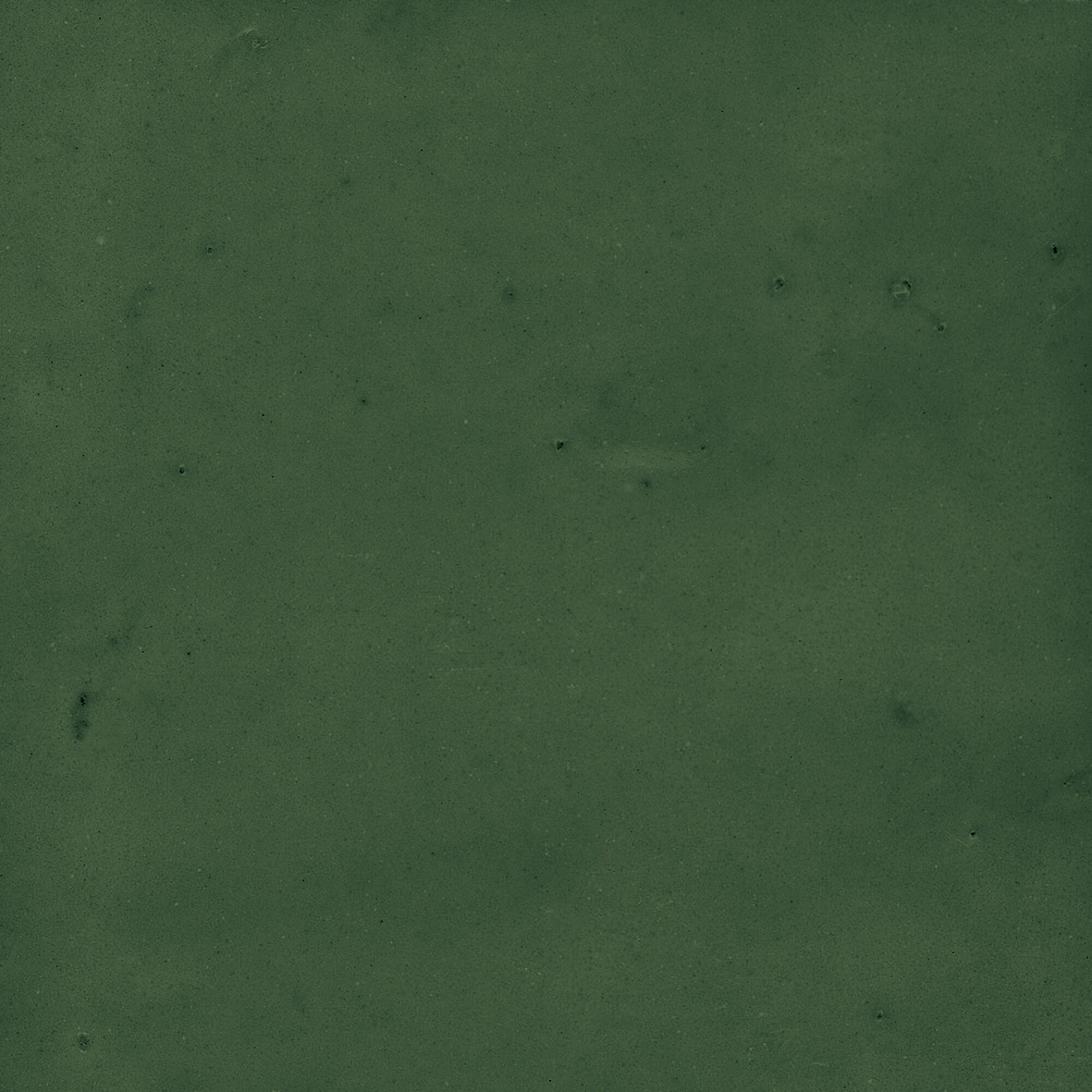 43289 Samira Green 10x10 Harmony фото 30