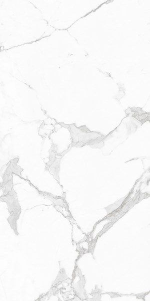 Feeling Statuario Carving 60x120 Realistik
